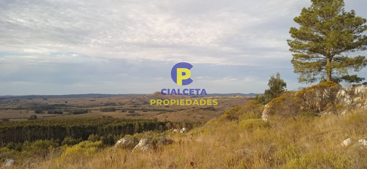 5 hectáreas, entrega 8.000 U$S y cuotas de 593 U$S - GoPunta - Portal Inmobiliario de Punta del Este - Maldonado