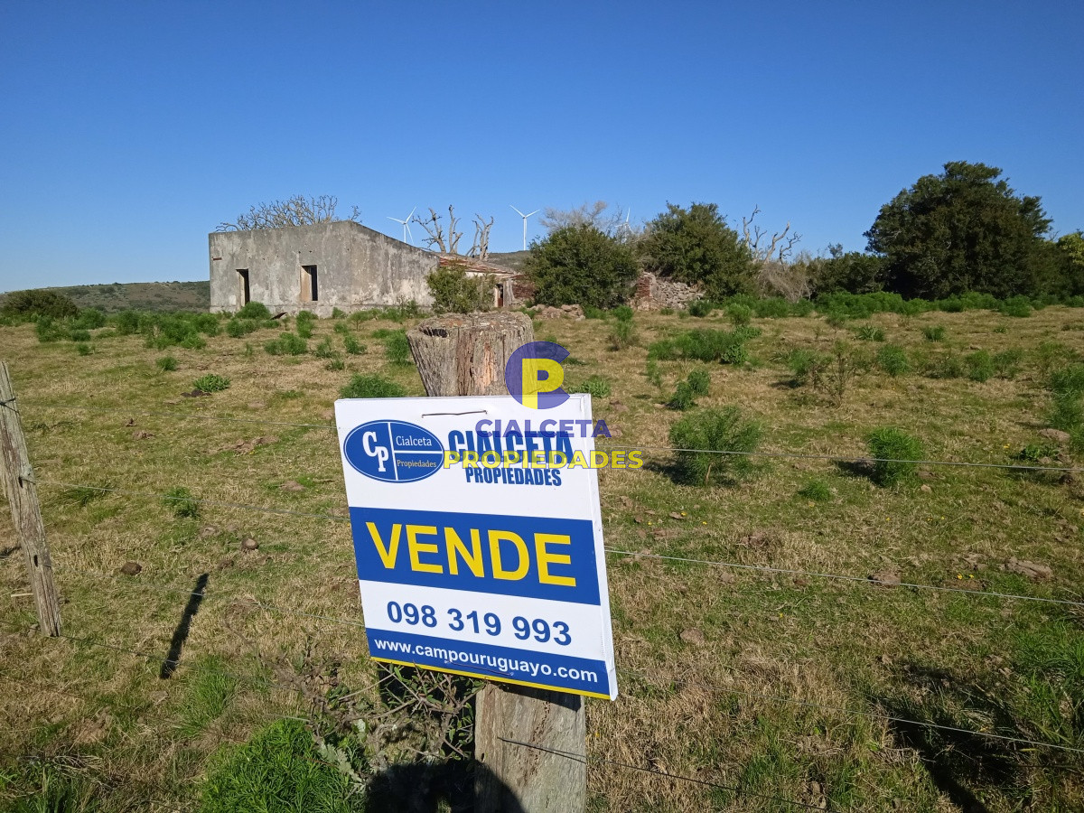 60 hectáreas en Carapé - GoPunta - Portal Inmobiliario de Punta del Este - Maldonado