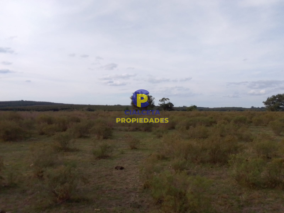33 hectáreas en Lavalleja - GoPunta - Portal Inmobiliario de Punta del Este - Maldonado