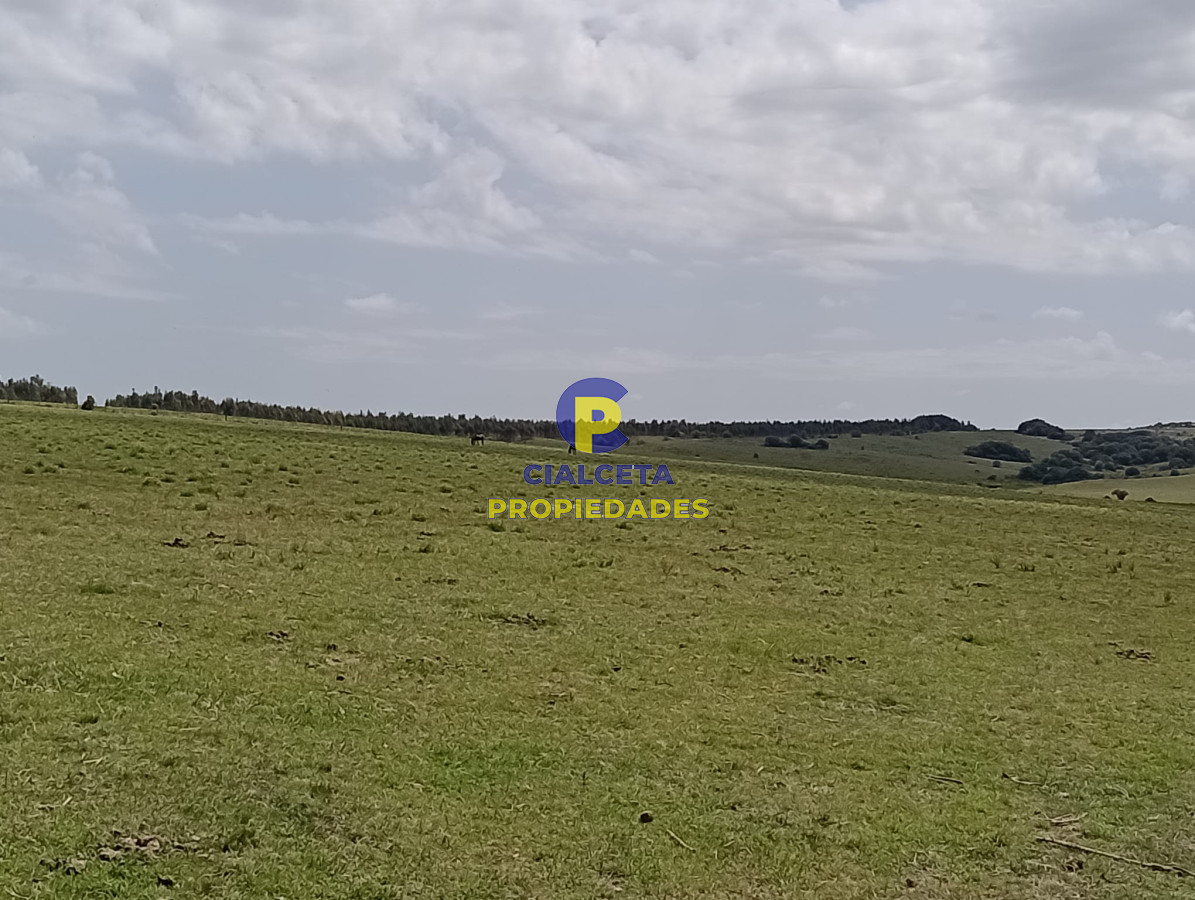 28 hectáreas y media en Maldonado - GoPunta - Portal Inmobiliario de Punta del Este - Maldonado