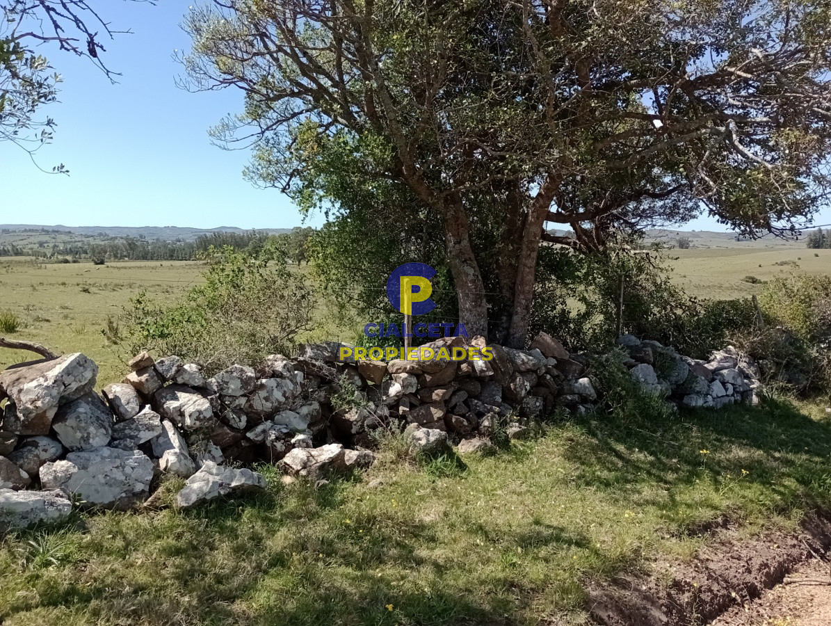 5 hectáreas en Pueblo Edén - GoPunta - Portal Inmobiliario de Punta del Este - Maldonado