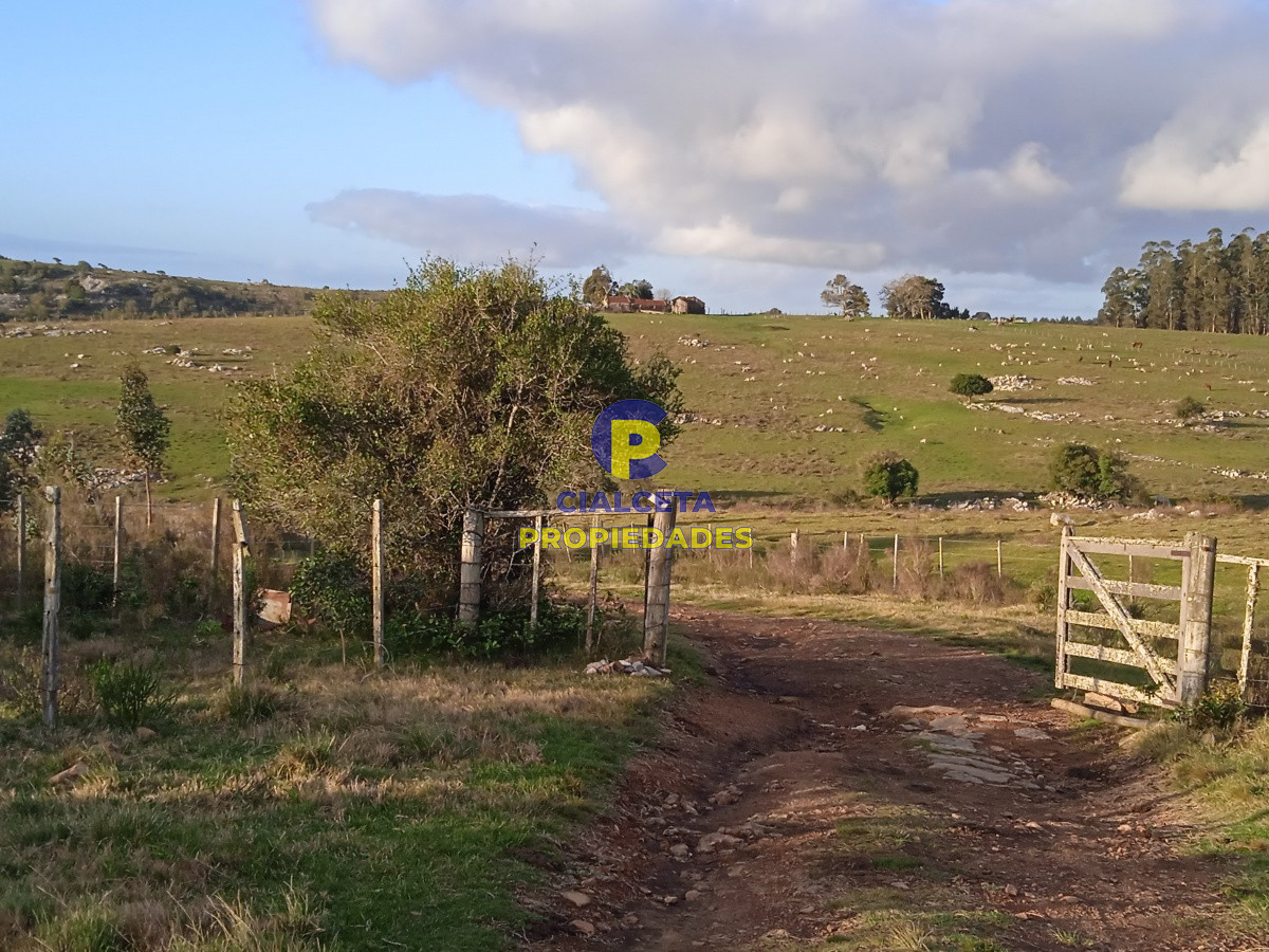 20 hectáreas con tapera, cañada y monte nativo - GoPunta - Portal Inmobiliario de Punta del Este - Maldonado