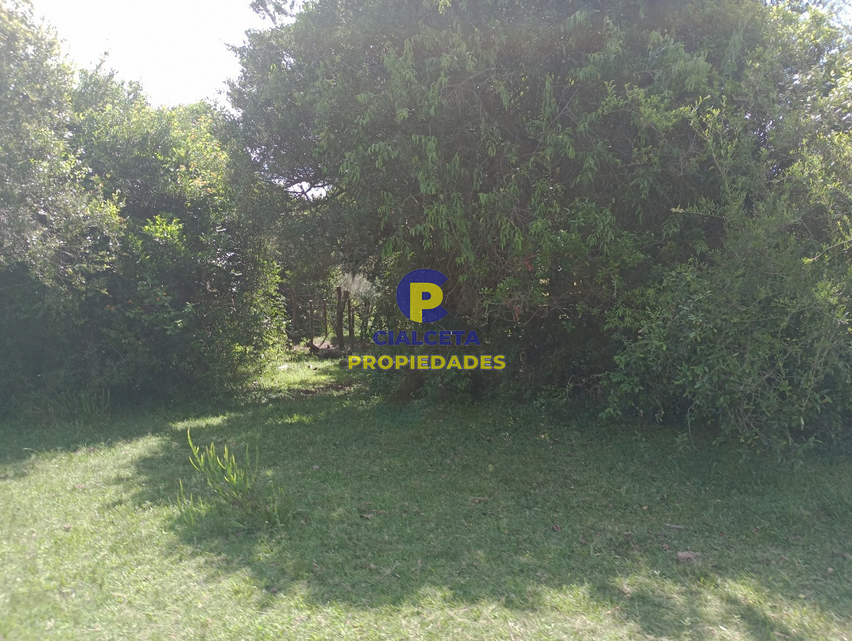 98 hectáreas en Maldonado - GoPunta - Portal Inmobiliario de Punta del Este - Maldonado
