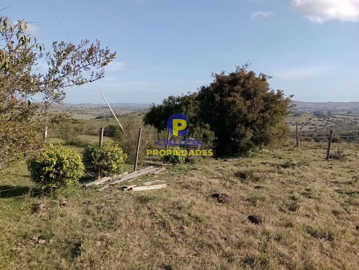 5 hectáreas en Maldonado - GoPunta - Portal Inmobiliario de Punta del Este - Maldonado