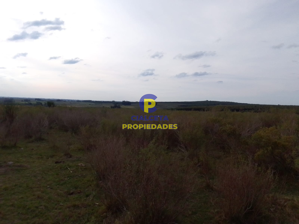 33 hectáreas en Lavalleja - GoPunta - Portal Inmobiliario de Punta del Este - Maldonado