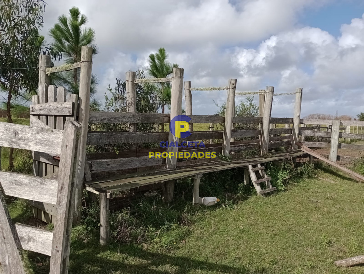 30 hectáreas en Garzón - GoPunta - Portal Inmobiliario de Punta del Este - Maldonado