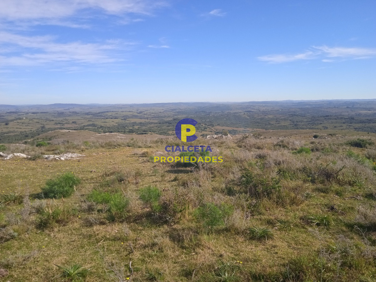 5 hectáreas en las Cañas - GoPunta - Portal Inmobiliario de Punta del Este - Maldonado