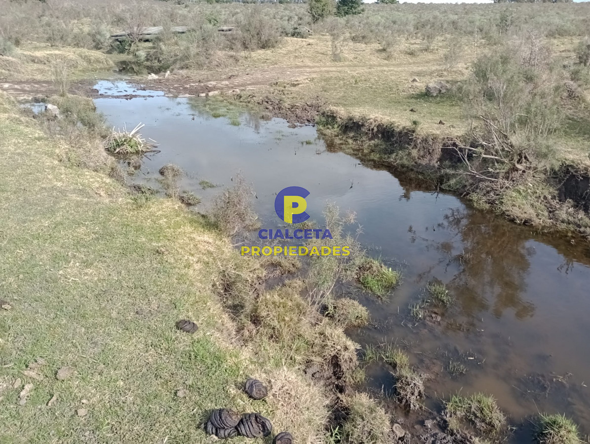 21 hectáreas con 8.366 metros en Canelones - GoPunta - Portal Inmobiliario de Punta del Este - Maldonado