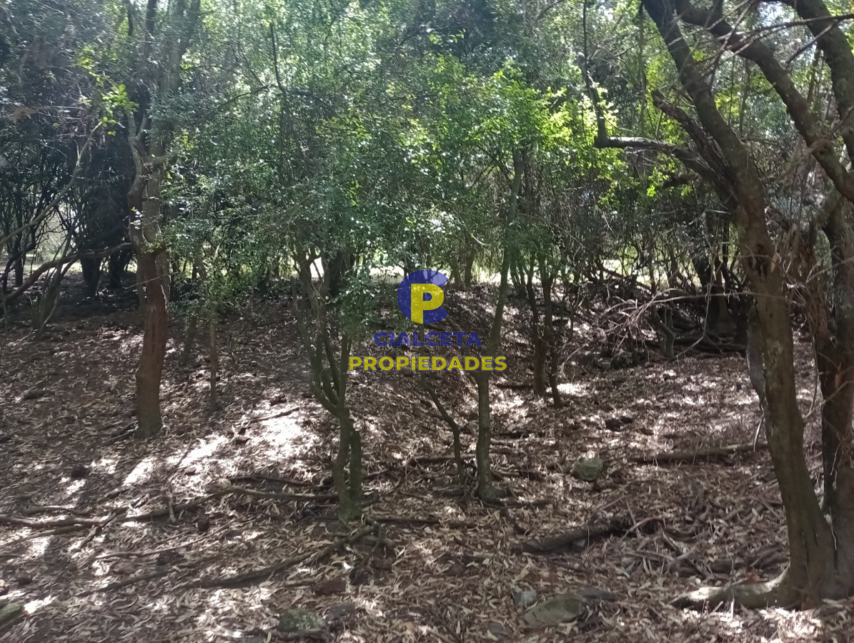 170 hectáreas en lavalleja - GoPunta - Portal Inmobiliario de Punta del Este - Maldonado