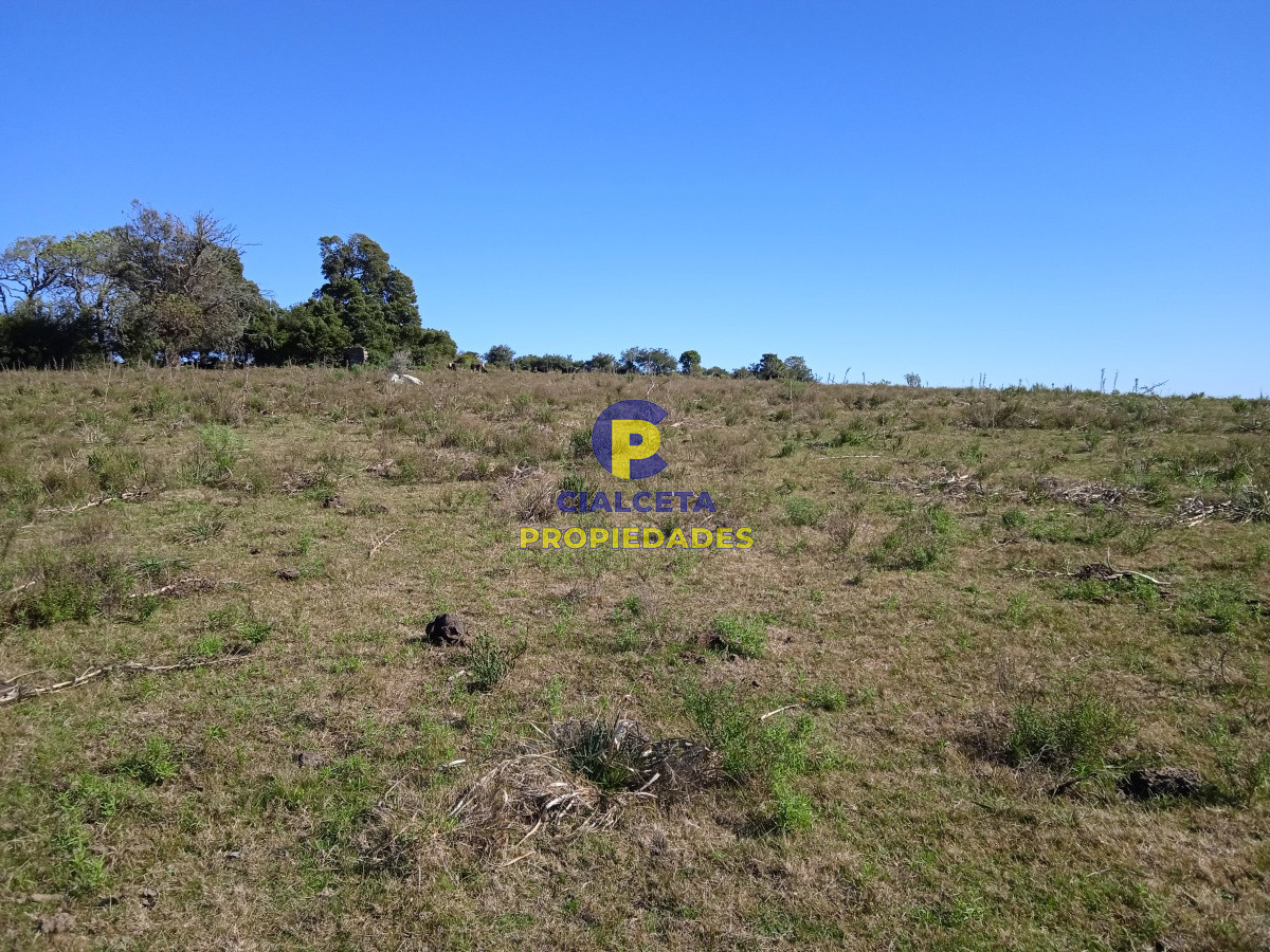 29 hectáreas en Minas - GoPunta - Portal Inmobiliario de Punta del Este - Maldonado
