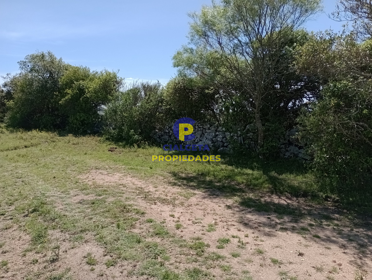 5 hectáreas en Pueblo Edén - GoPunta - Portal Inmobiliario de Punta del Este - Maldonado
