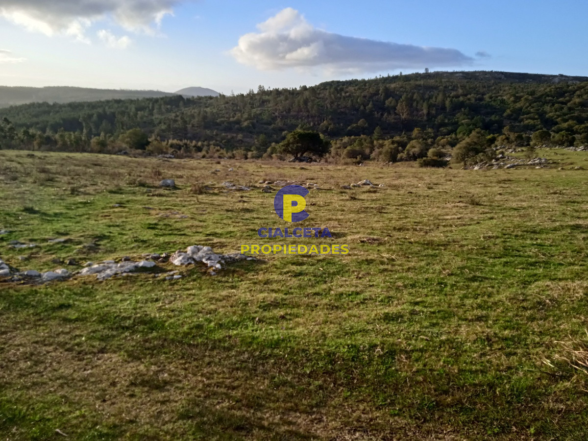 20 hectáreas con tapera, cañada y monte nativo - GoPunta - Portal Inmobiliario de Punta del Este - Maldonado
