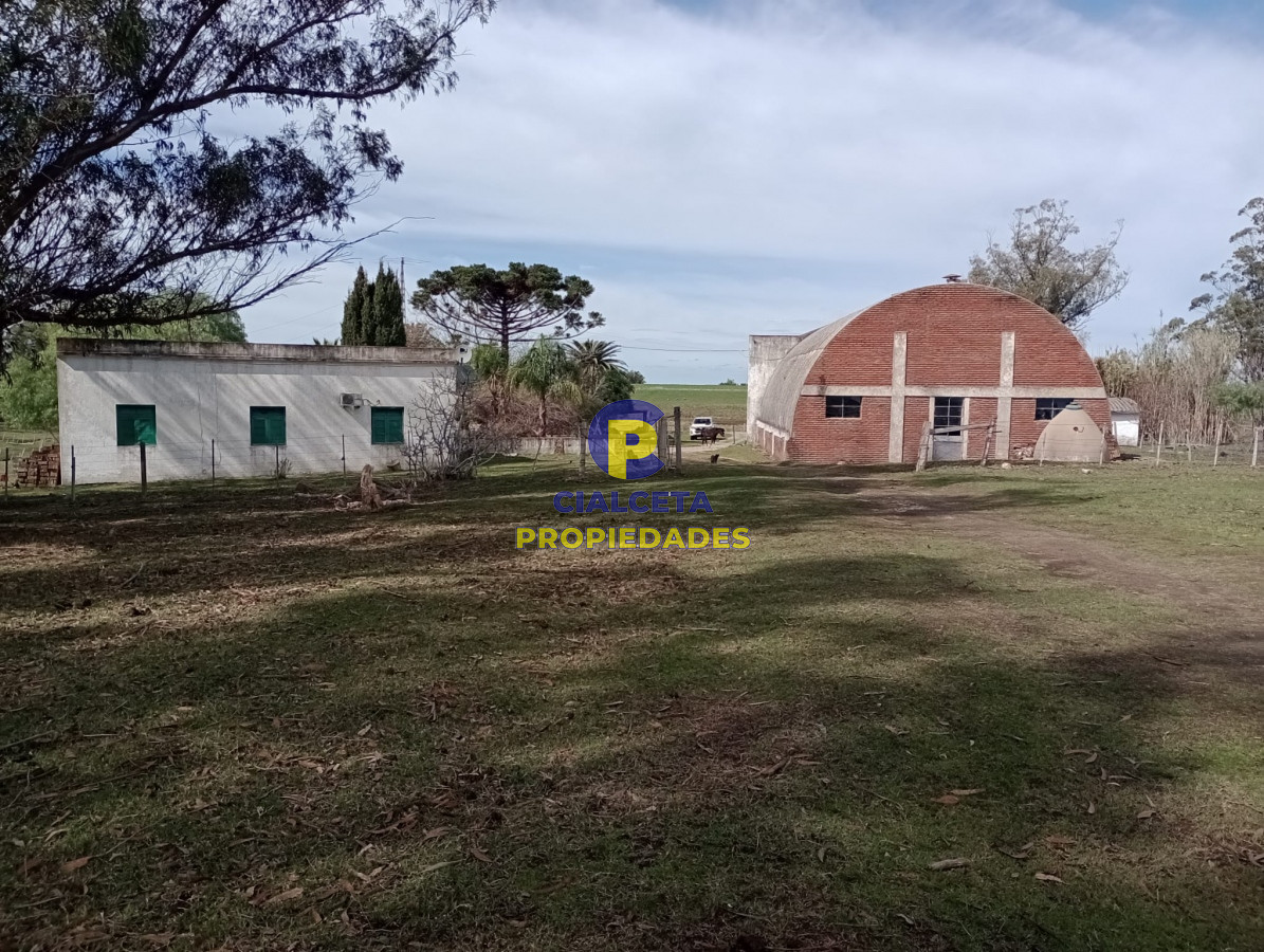 22 hectáreas en lavalleja - GoPunta - Portal Inmobiliario de Punta del Este - Maldonado