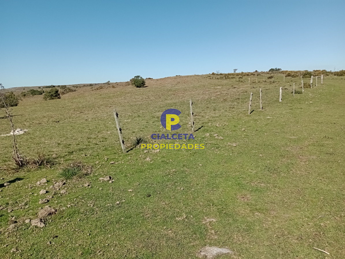 2957 hectáreas en Cerro Largo - GoPunta - Portal Inmobiliario de Punta del Este - Maldonado