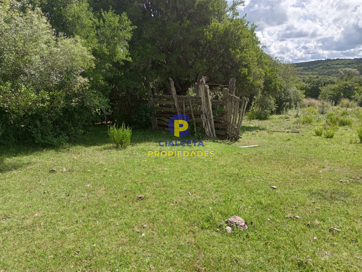 98 hectáreas en Maldonado - GoPunta - Portal Inmobiliario de Punta del Este - Maldonado