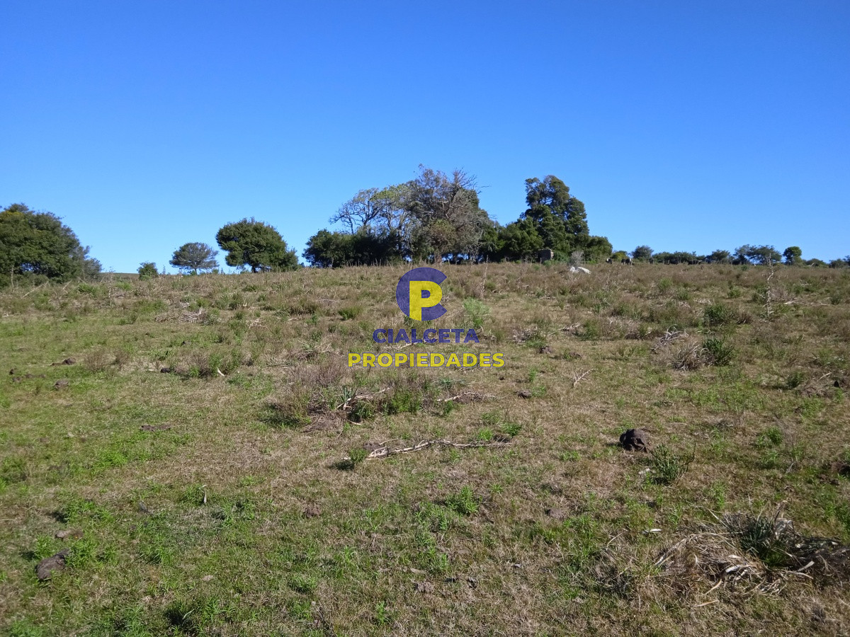 29 hectáreas en Minas - GoPunta - Portal Inmobiliario de Punta del Este - Maldonado