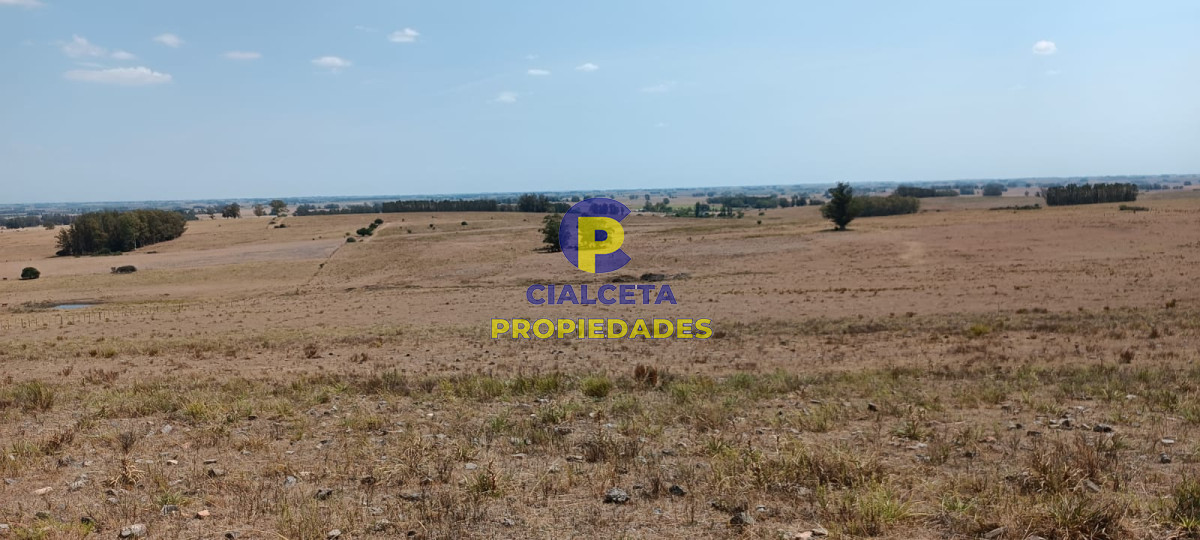 180 hectáreas en Lavalleja - GoPunta - Portal Inmobiliario de Punta del Este - Maldonado