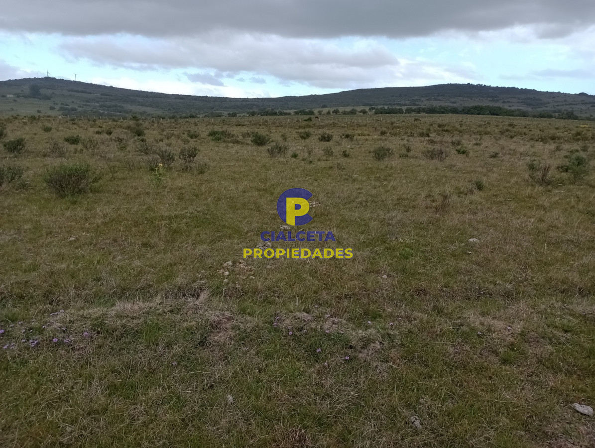 5 hectáreas en Maldonado, Pueblo Edén - GoPunta - Portal Inmobiliario de Punta del Este - Maldonado