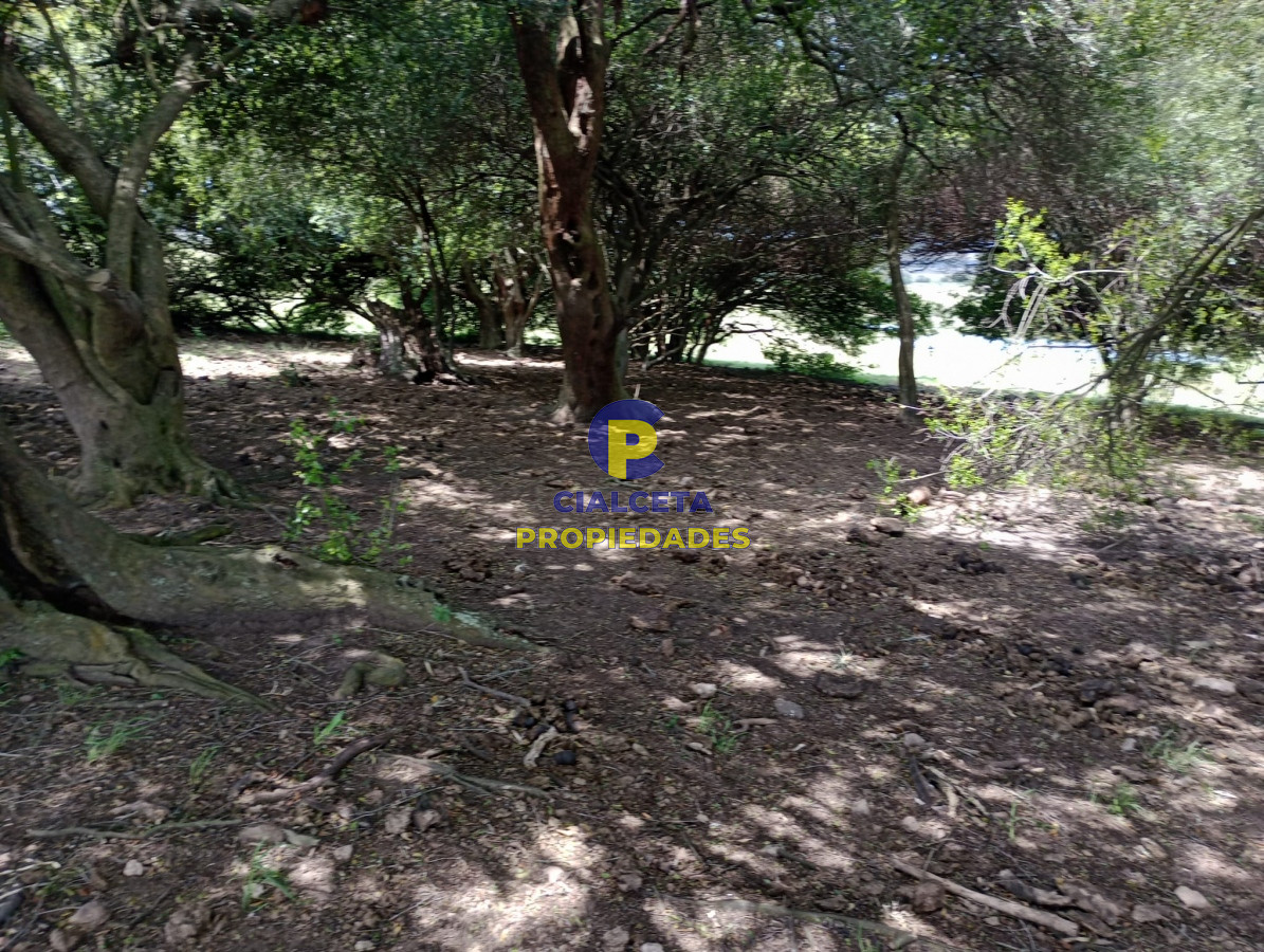 32 hectáreas en Maldonado - GoPunta - Portal Inmobiliario de Punta del Este - Maldonado