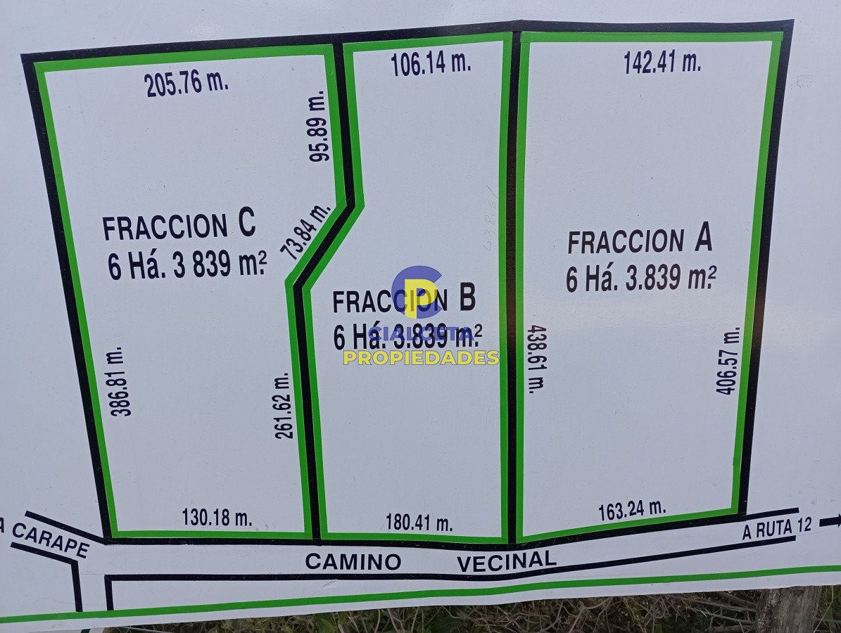 5 hectáreas en Maldonado - GoPunta - Portal Inmobiliario de Punta del Este - Maldonado