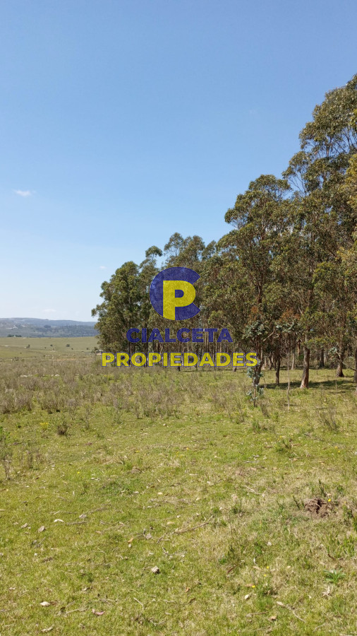 31 hectáreas en Maldonado - GoPunta - Portal Inmobiliario de Punta del Este - Maldonado