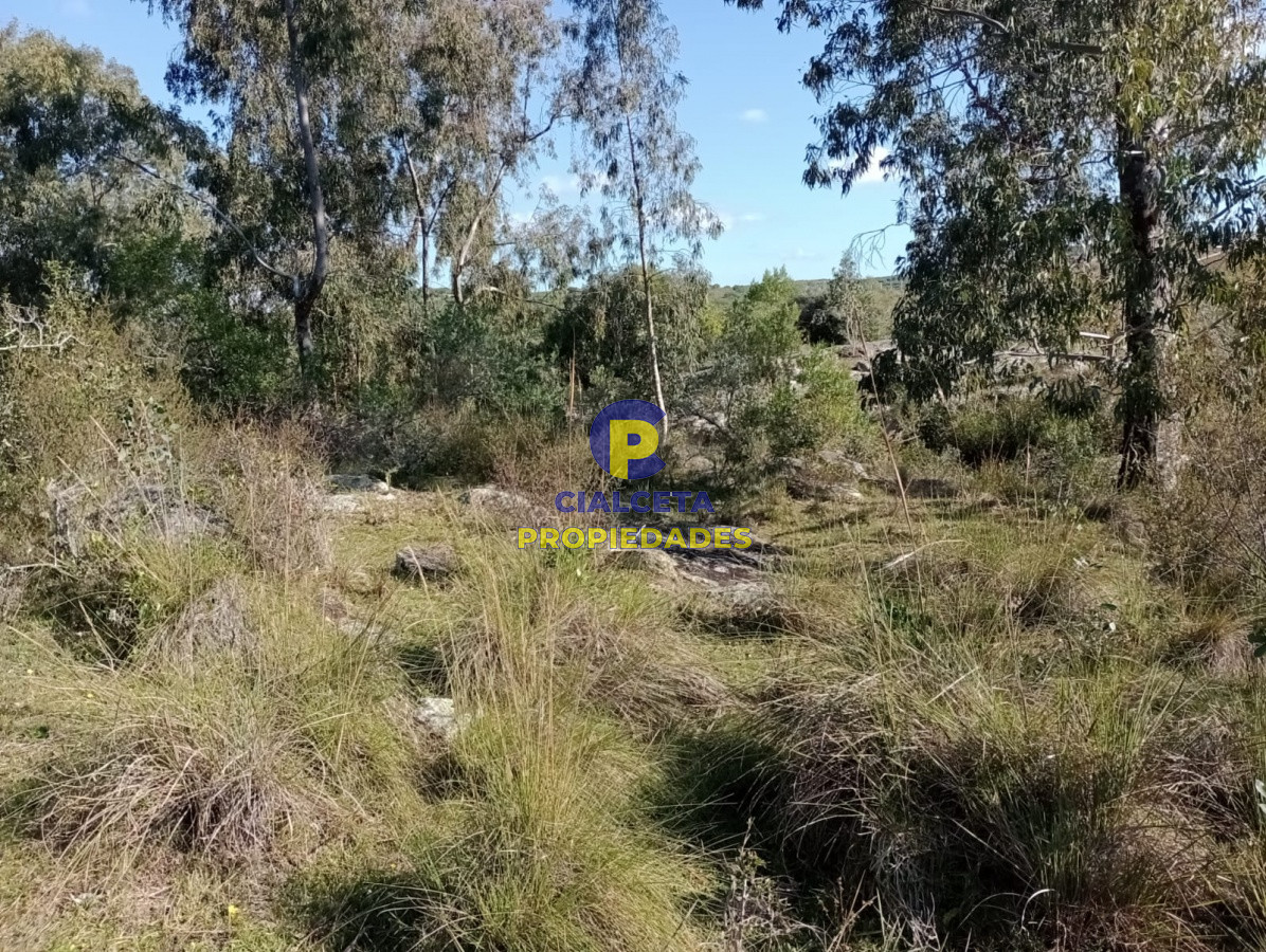 39 hectáreas en Maldonado - GoPunta - Portal Inmobiliario de Punta del Este - Maldonado