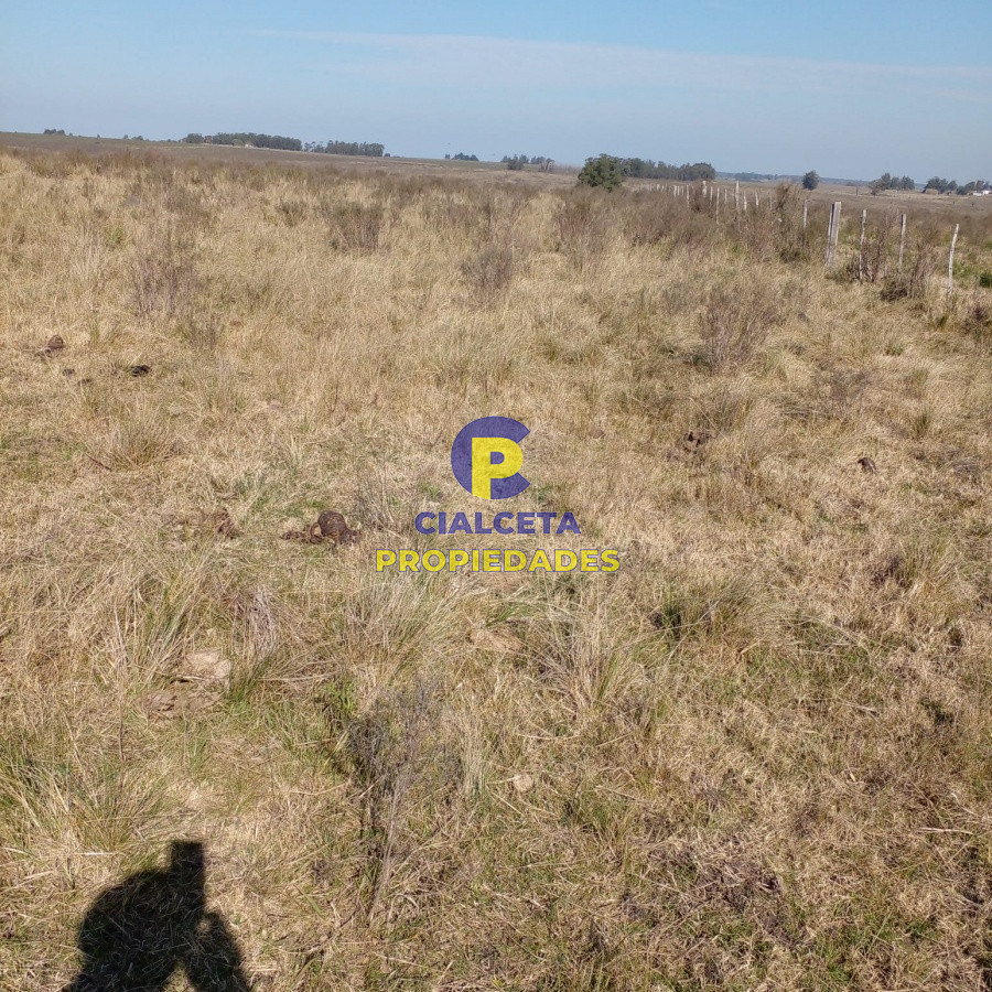 130 hectáreas en Canelones - GoPunta - Portal Inmobiliario de Punta del Este - Maldonado