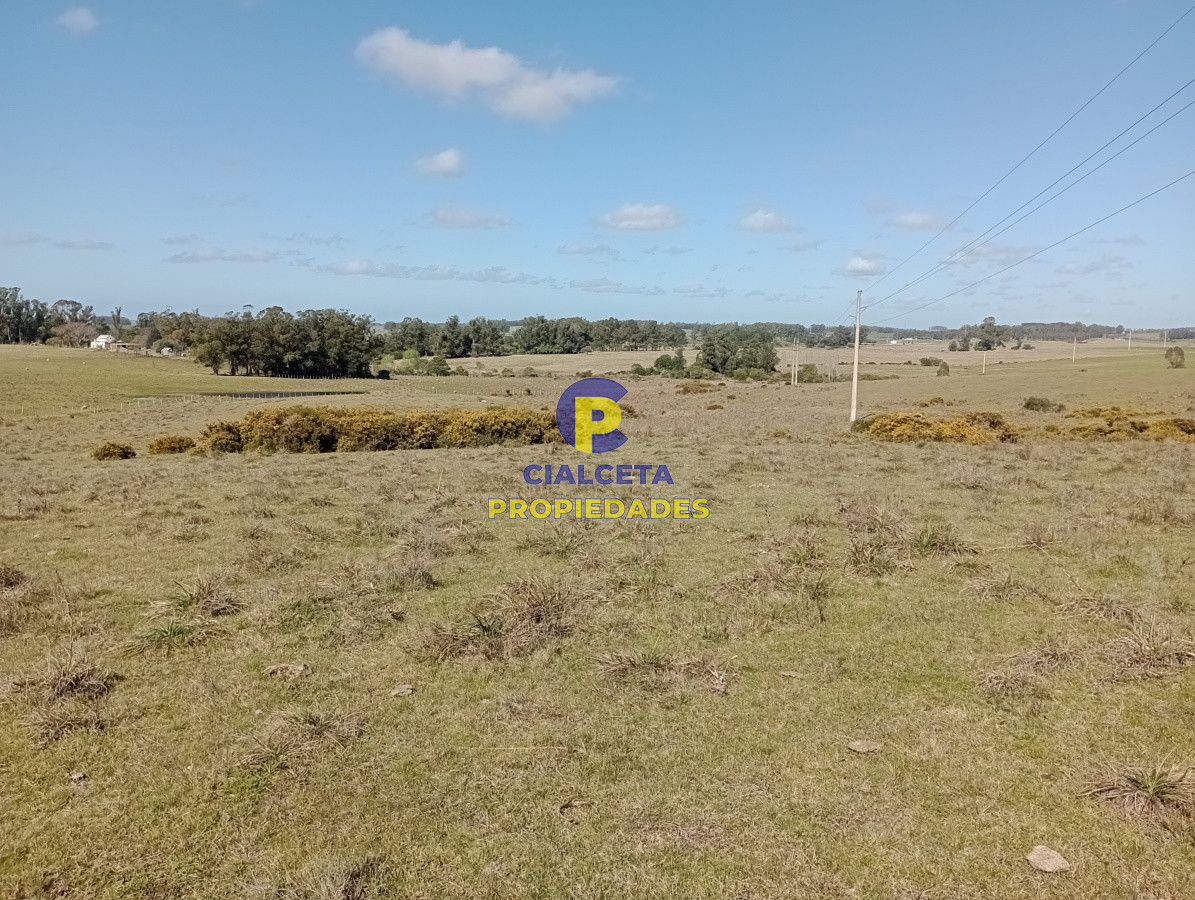 125 hectáreas en Rocha - GoPunta - Portal Inmobiliario de Punta del Este - Maldonado