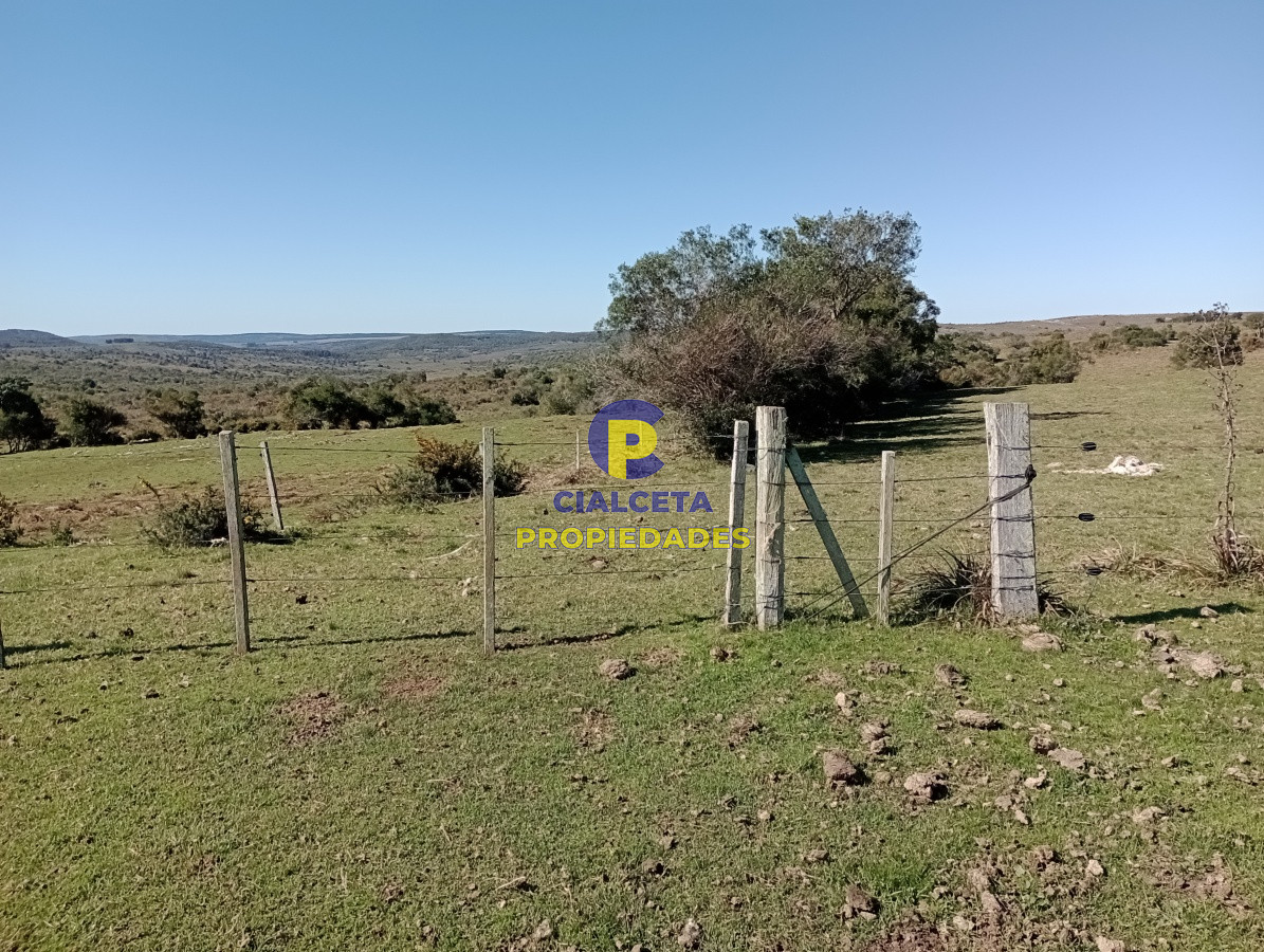 2957 hectáreas en Cerro Largo - GoPunta - Portal Inmobiliario de Punta del Este - Maldonado