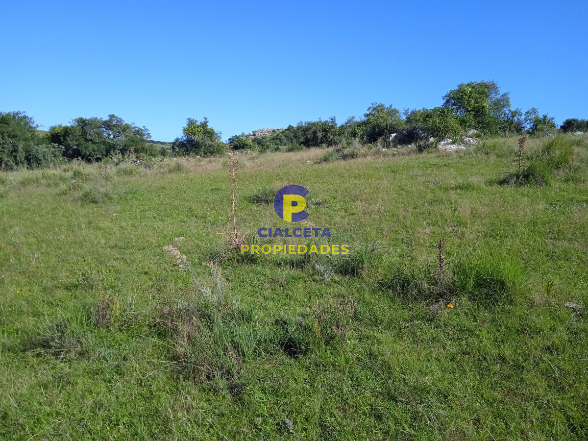 35 hectáreas en Maldonado - GoPunta - Portal Inmobiliario de Punta del Este - Maldonado
