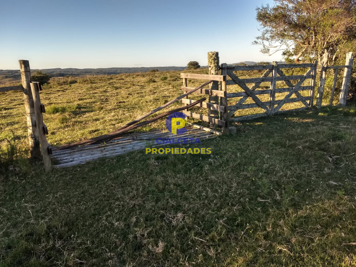 60 hectáreas en Garzón - GoPunta - Portal Inmobiliario de Punta del Este - Maldonado