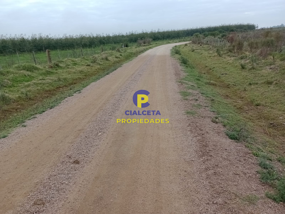 664 hectáreas en Colonia - GoPunta - Portal Inmobiliario de Punta del Este - Maldonado