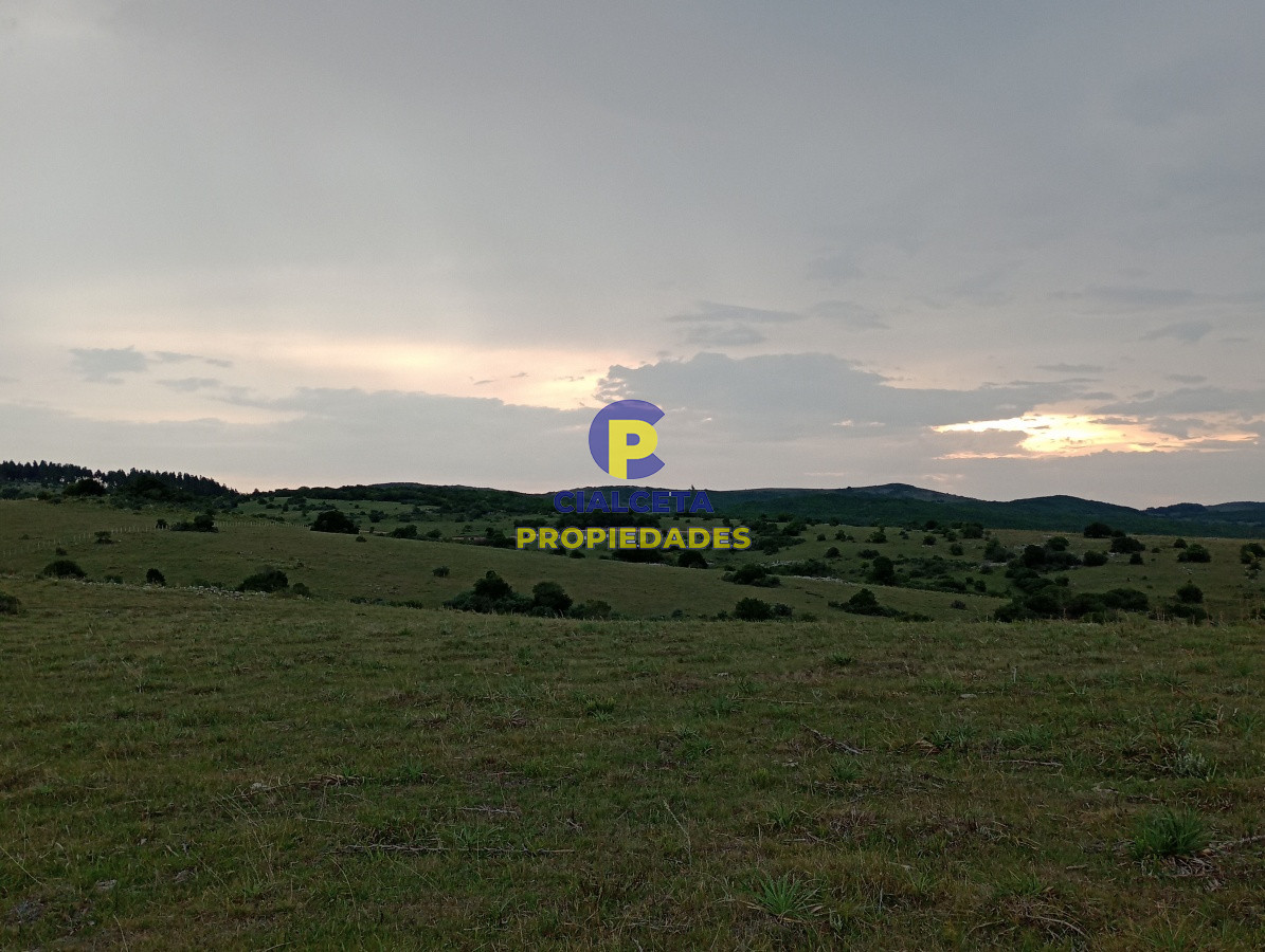 Chacras de 5 hectáreas - GoPunta - Portal Inmobiliario de Punta del Este - Maldonado