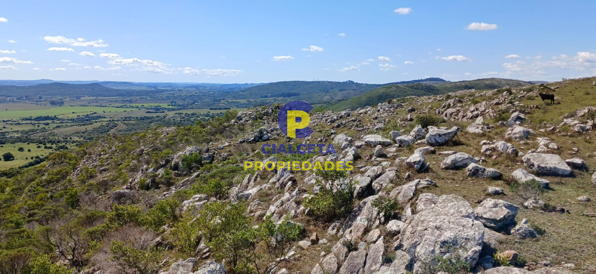 395 hectáreas en Lavalleja - GoPunta - Portal Inmobiliario de Punta del Este - Maldonado