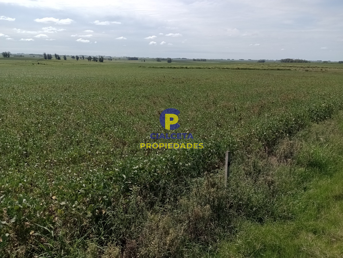 350 hectáreas en lavalleja - GoPunta - Portal Inmobiliario de Punta del Este - Maldonado