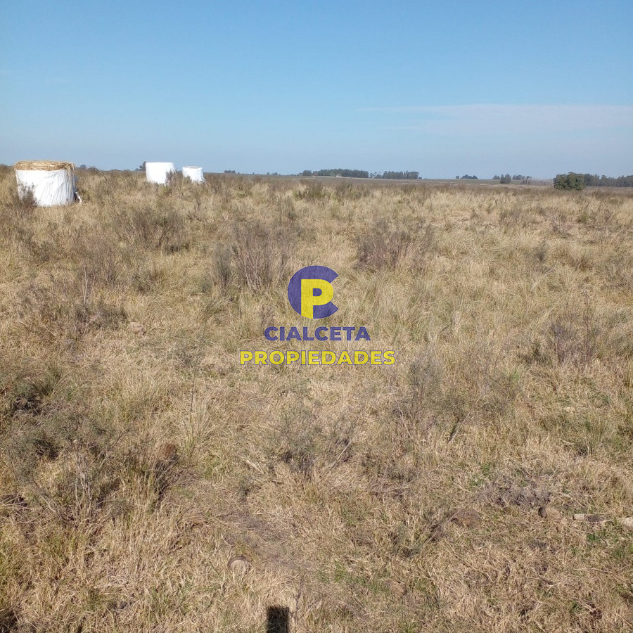 130 hectáreas en Canelones - GoPunta - Portal Inmobiliario de Punta del Este - Maldonado