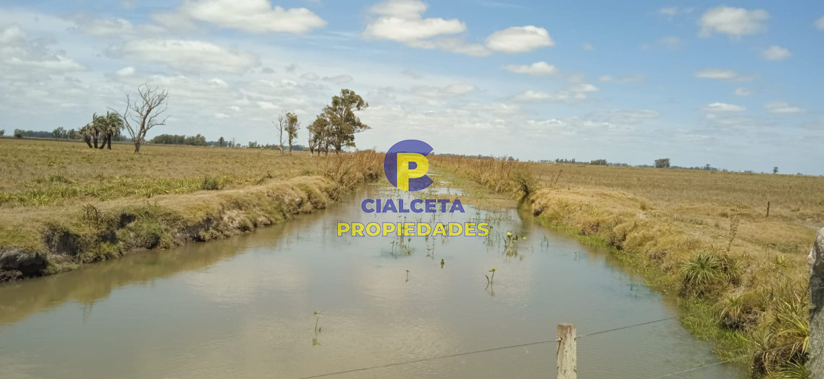 643 hectáreas en 33 - GoPunta - Portal Inmobiliario de Punta del Este - Maldonado
