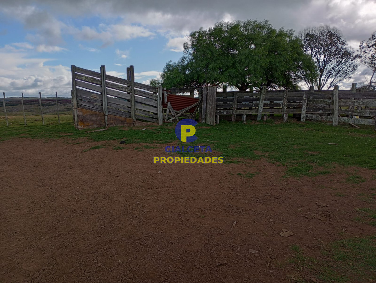 140 hectáreas en Lavalleja - GoPunta - Portal Inmobiliario de Punta del Este - Maldonado