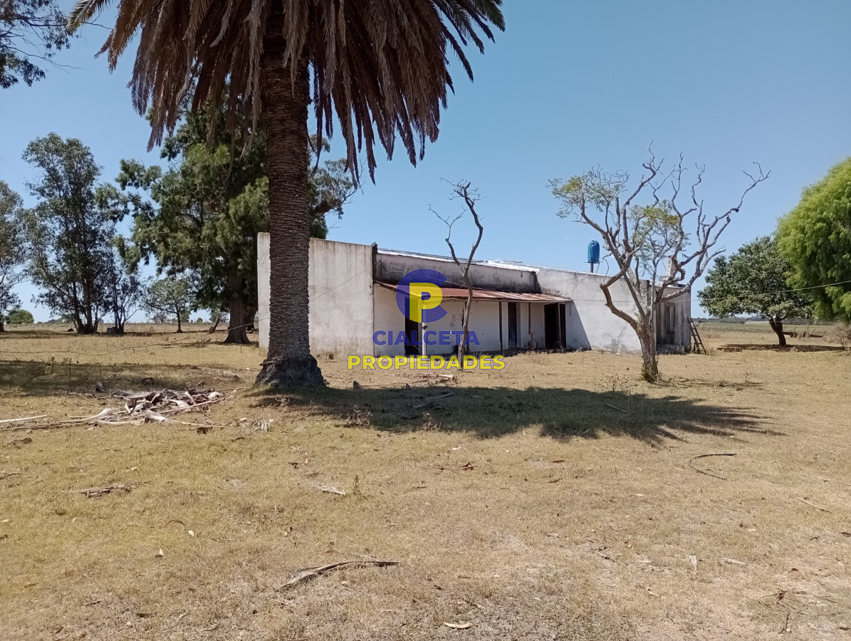21 hectáreas en Lavalleja - GoPunta - Portal Inmobiliario de Punta del Este - Maldonado