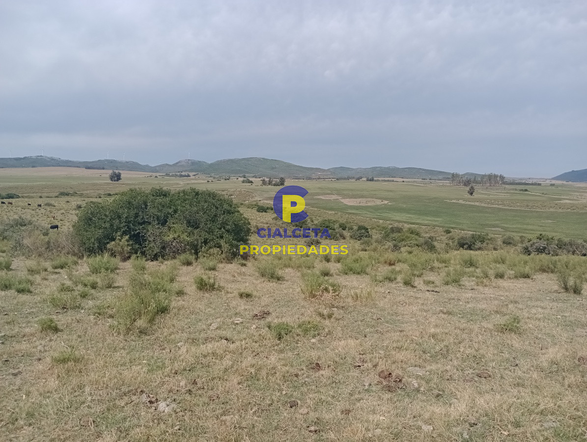 170 hectáreas en lavalleja - GoPunta - Portal Inmobiliario de Punta del Este - Maldonado