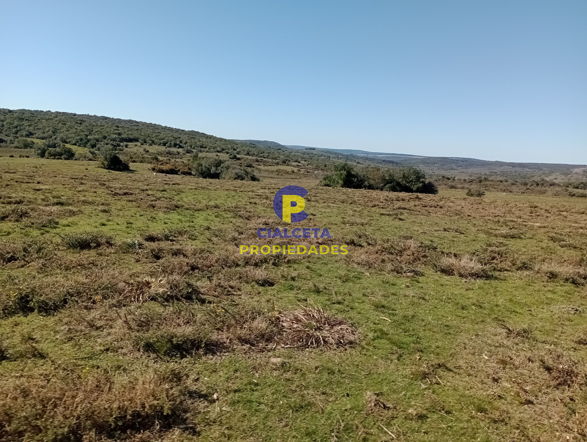 2957 hectáreas en Cerro Largo - GoPunta - Portal Inmobiliario de Punta del Este - Maldonado