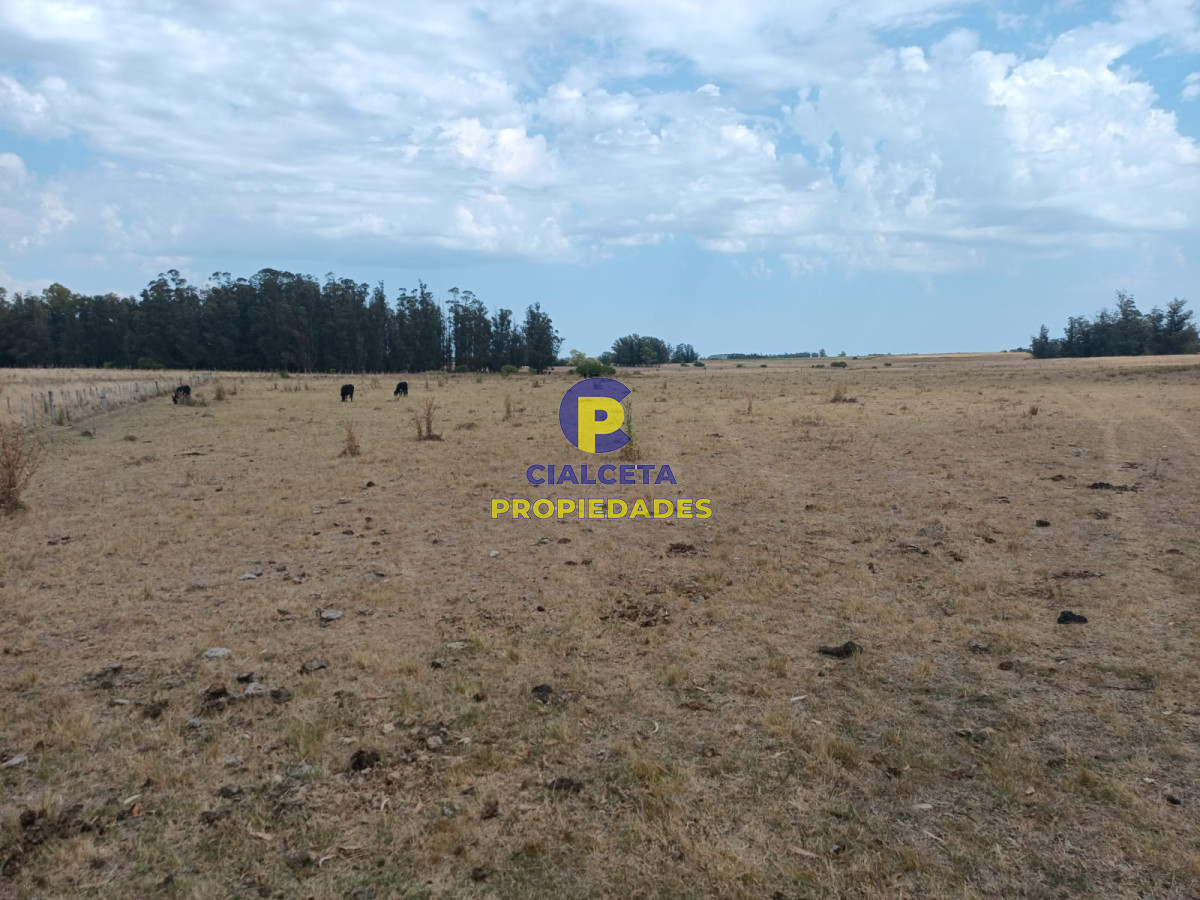 180 hectáreas en Lavalleja - GoPunta - Portal Inmobiliario de Punta del Este - Maldonado