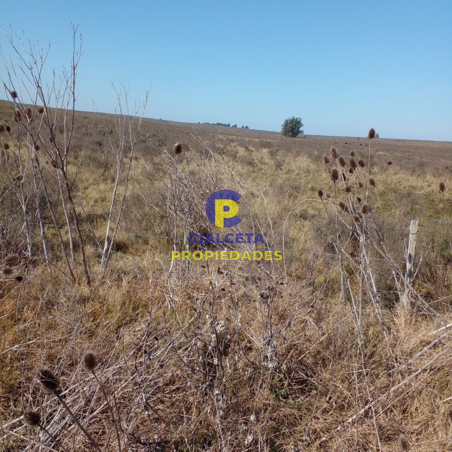 130 hectáreas en Canelones - GoPunta - Portal Inmobiliario de Punta del Este - Maldonado