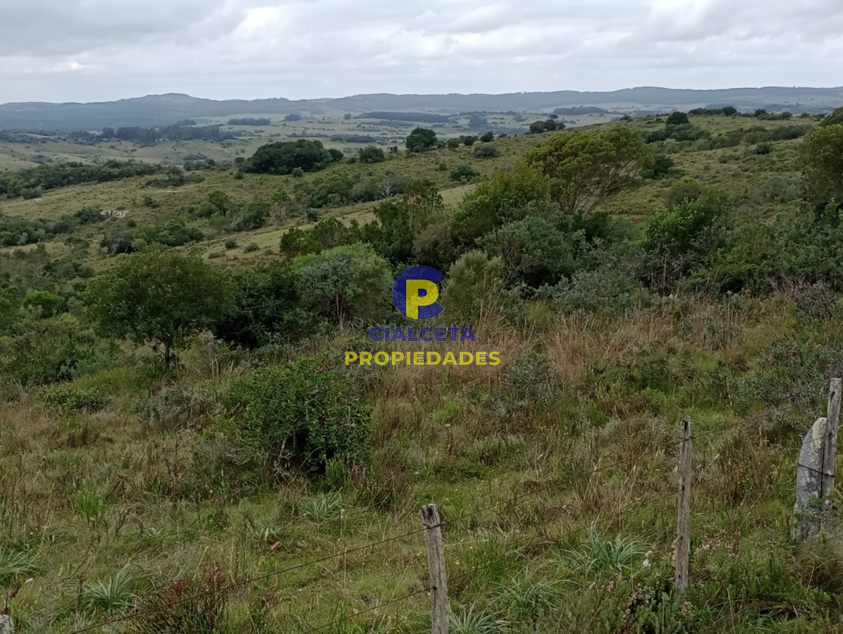 48 hectáreas con 8 mil metros en Garzón - GoPunta - Portal Inmobiliario de Punta del Este - Maldonado