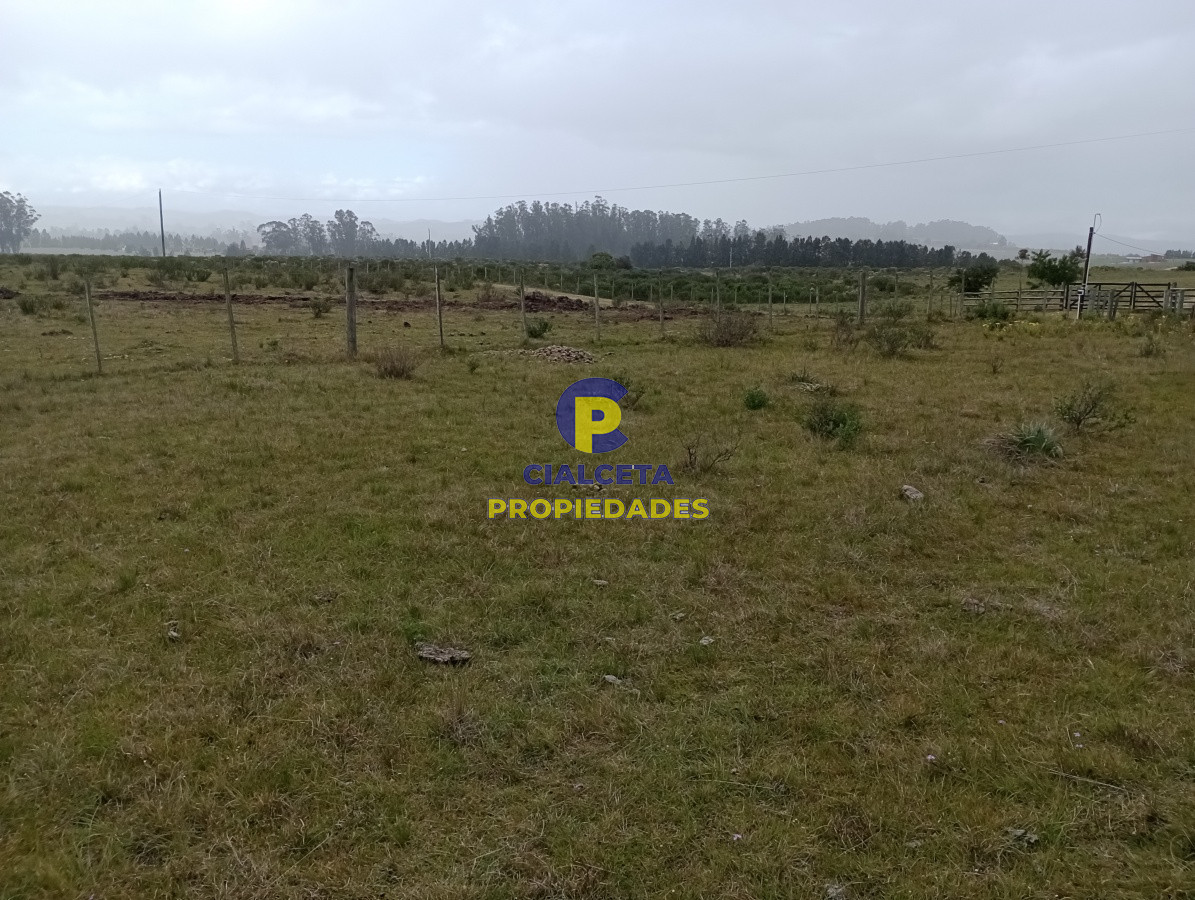5 hectáreas en Maldonado, Pueblo Edén - GoPunta - Portal Inmobiliario de Punta del Este - Maldonado