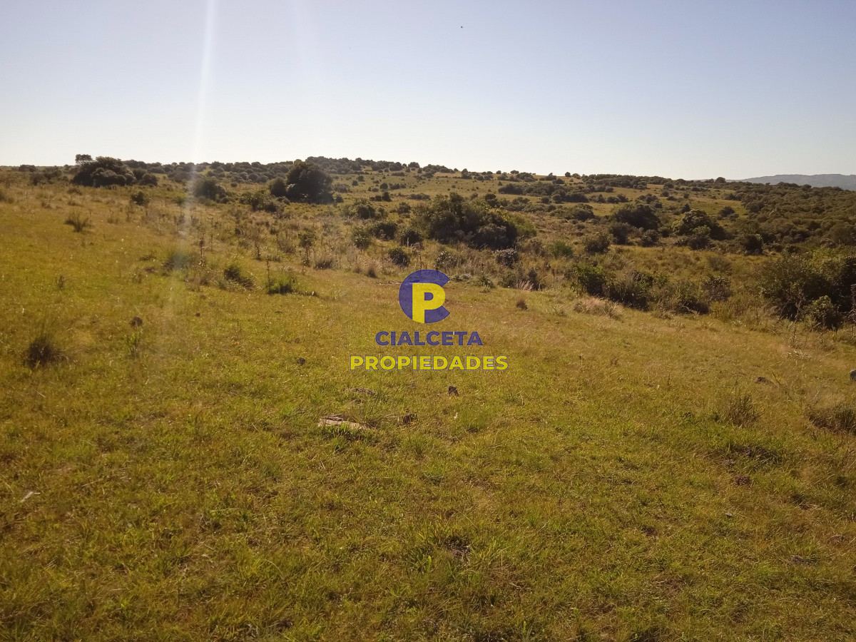 35 hectáreas en Maldonado - GoPunta - Portal Inmobiliario de Punta del Este - Maldonado