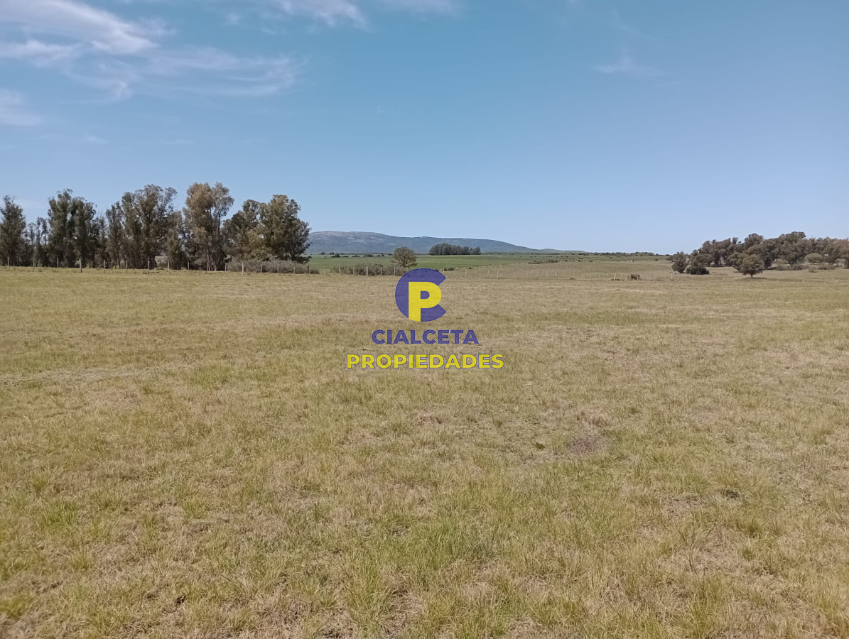 22 hectáreas con hermosa vista a las sierras - GoPunta - Portal Inmobiliario de Punta del Este - Maldonado