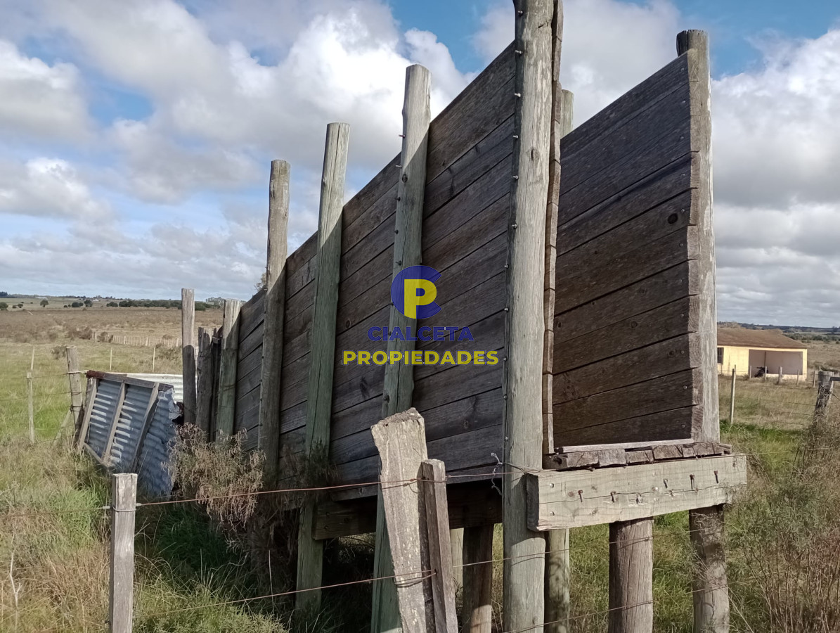 102 hectáreas en Canelones - GoPunta - Portal Inmobiliario de Punta del Este - Maldonado