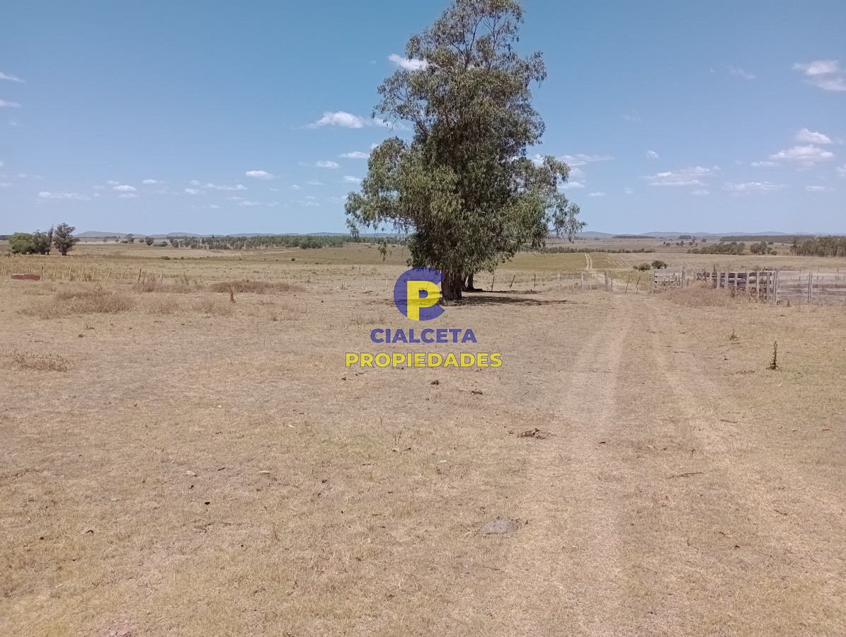 21 hectáreas en Lavalleja - GoPunta - Portal Inmobiliario de Punta del Este - Maldonado