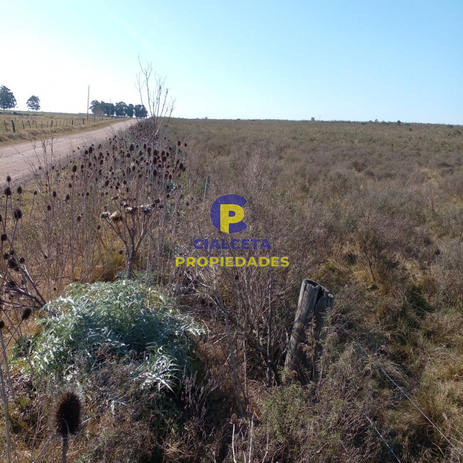 130 hectáreas en Canelones - GoPunta - Portal Inmobiliario de Punta del Este - Maldonado